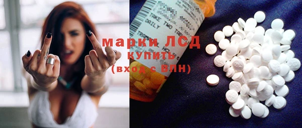 ГАЛЛЮЦИНОГЕННЫЕ ГРИБЫ Богданович