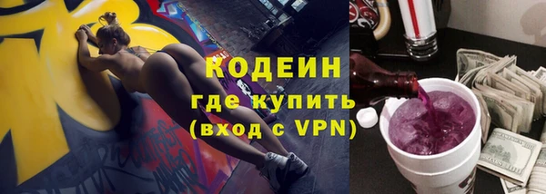 ГАЛЛЮЦИНОГЕННЫЕ ГРИБЫ Богданович