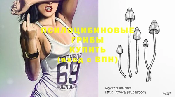 кристаллы Богородицк