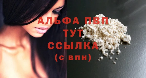 ГАЛЛЮЦИНОГЕННЫЕ ГРИБЫ Богданович