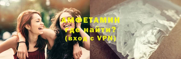 ГАЛЛЮЦИНОГЕННЫЕ ГРИБЫ Богданович