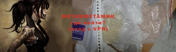 ГАЛЛЮЦИНОГЕННЫЕ ГРИБЫ Богданович