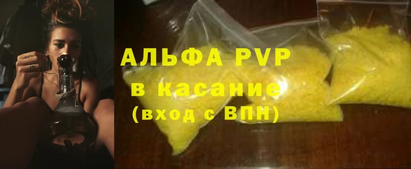 ГАЛЛЮЦИНОГЕННЫЕ ГРИБЫ Богданович
