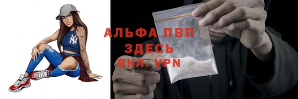 прущие грибы Богородск