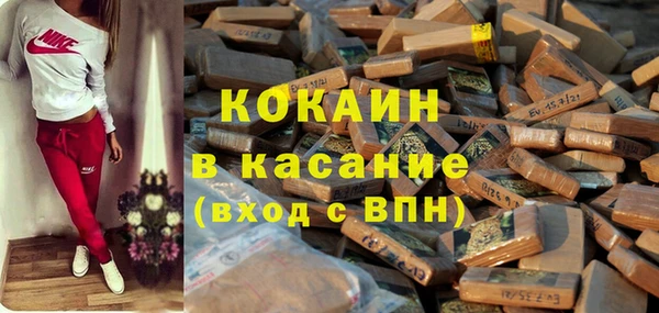 прущие грибы Богородск