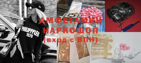 ГАЛЛЮЦИНОГЕННЫЕ ГРИБЫ Богданович
