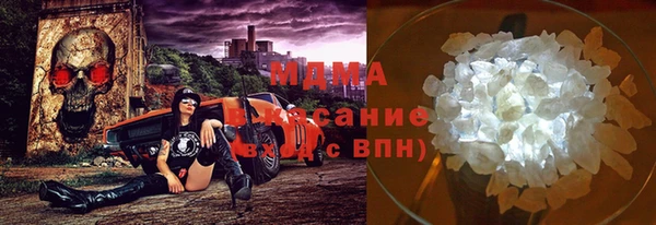прущие грибы Богородск