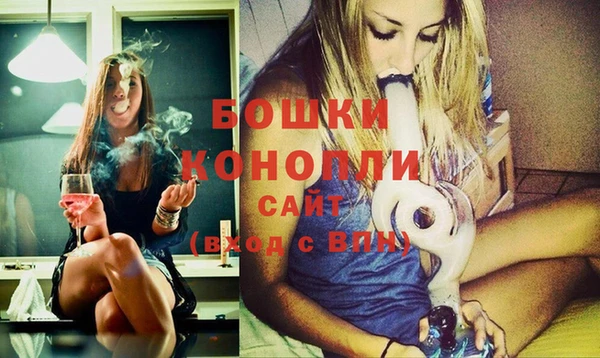 прущие грибы Богородск
