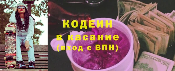 ГАЛЛЮЦИНОГЕННЫЕ ГРИБЫ Богданович