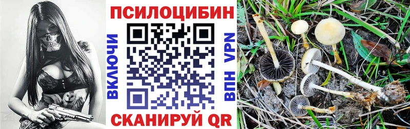 Галлюциногенные грибы мухоморы Купить Мелеуз